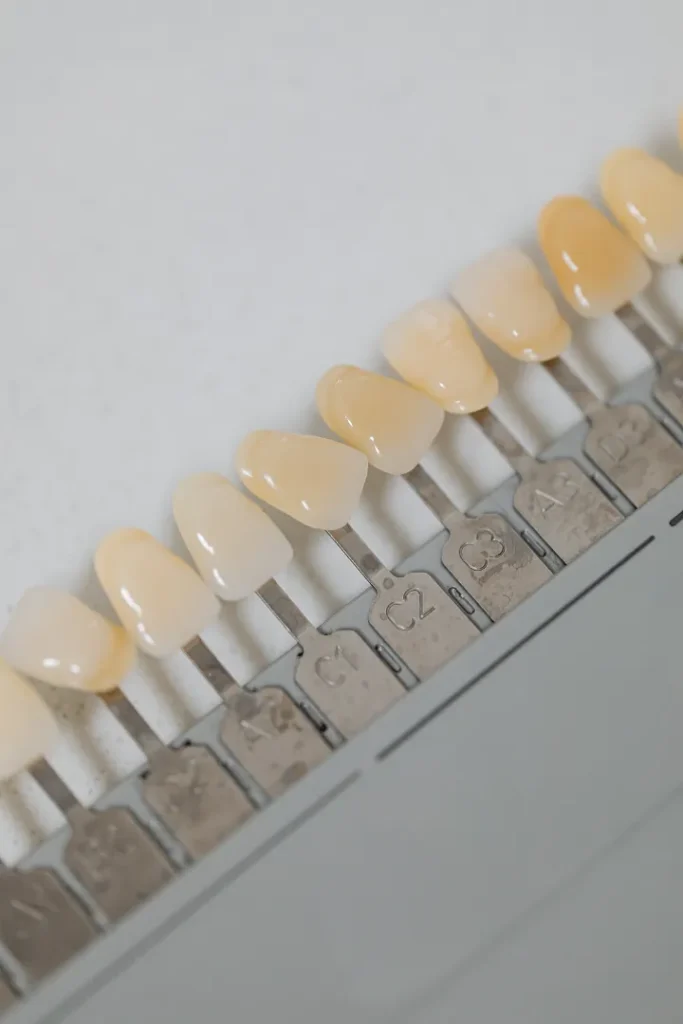 A row of teeth on a white surface