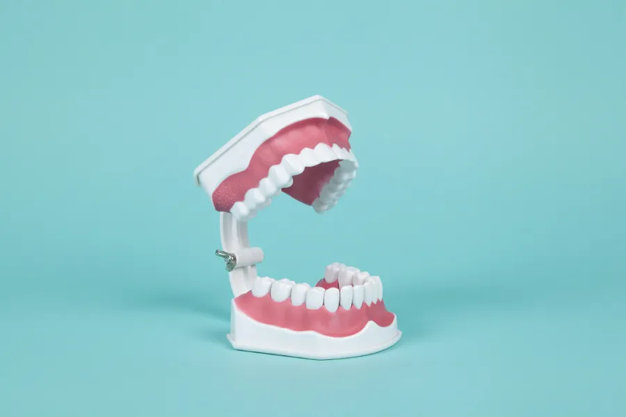 Dental care concept with a tooth model